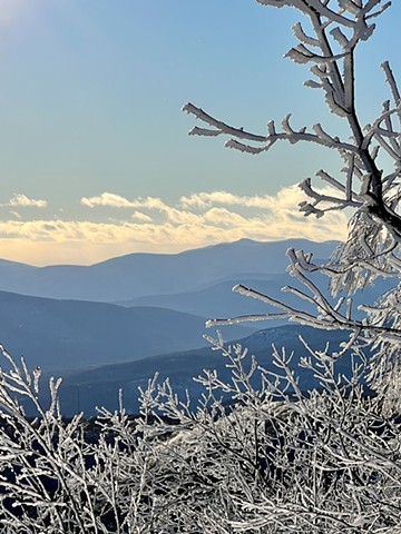 Woodstock Blues by HOLLY COHEN