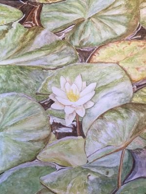 Surrounded by Green by DEBORAH RUGGERIO