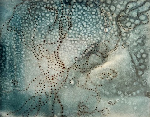 Deep Blue Currents by LOUISE KALIN