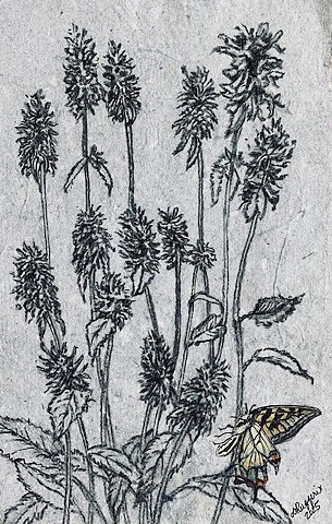 Beauty of Nature by DEBORAH RUGGERIO