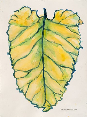 Burdock Leaf by MICHELLE SEIGEI SPARK