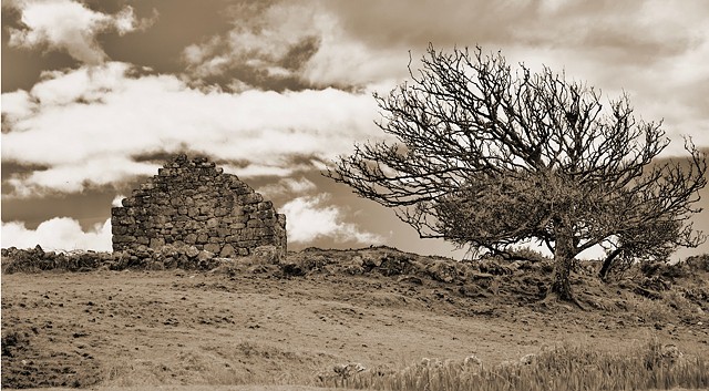 Wuthering Heights 1  by HELANE LEVINE-KEATING