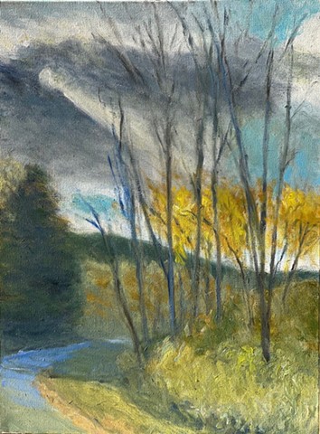 November Sun by MARGARET LEVESON
