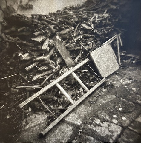 Somerset Belle Vue Farm by BERNARD COHEN