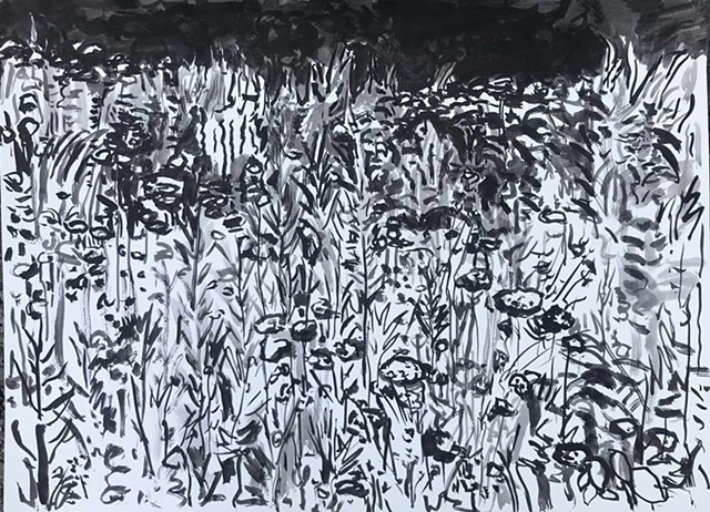 Summer Grasses in Fleischmanns Park by GAIL FREUND
