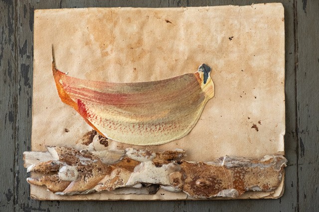 Elaine Grandy art