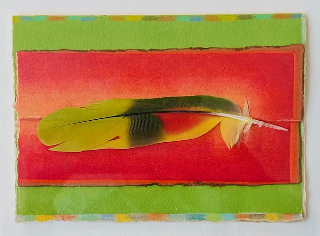 Parrot's Gift by LOUISE KALIN