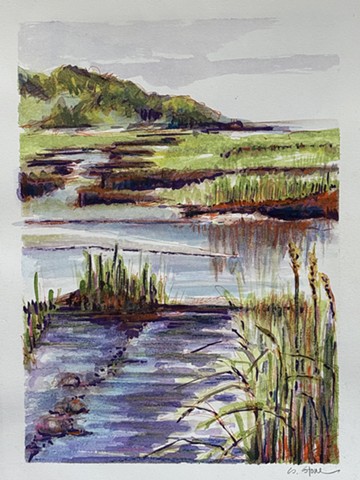 Salt Marsh by SARA STONE