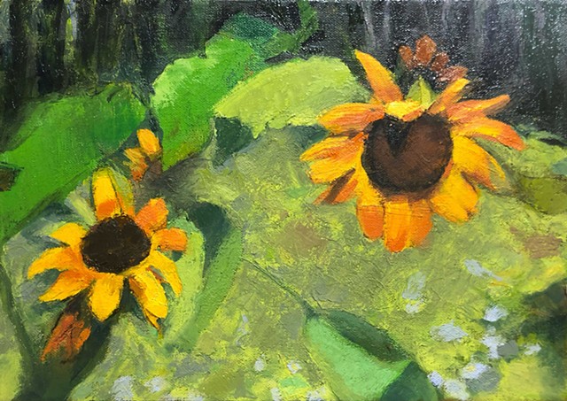 Sunflowers by SHEILA McMANUS
