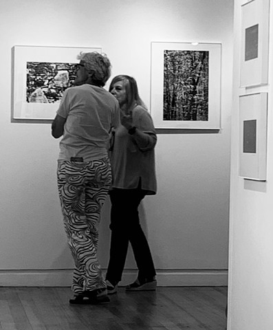 opening reception Photo: Deb Ruggerio