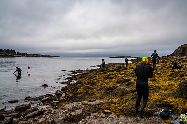 Kelp Researchers, Bailey Island maine by ALAN POWELL