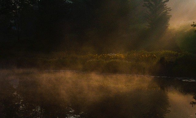 The Golden Hour by HELANE LEVINE-KEATING