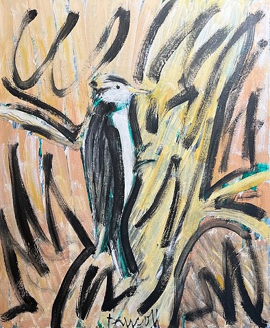 Woodpecker by NEIL DRISCOLL