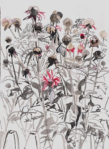 Last of the Bee Balm by GAIL FREUND