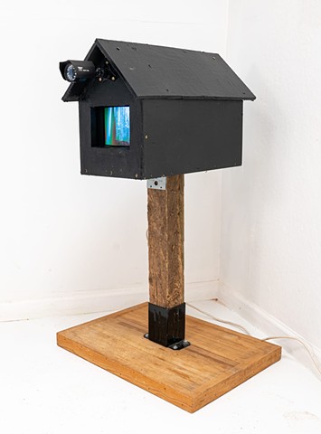 Video Birdhouse