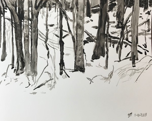 January Snow by GAIL FREUND