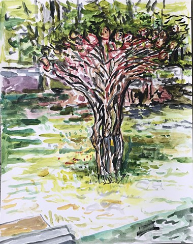 Spring Hydrangea Tree by Gail Freund