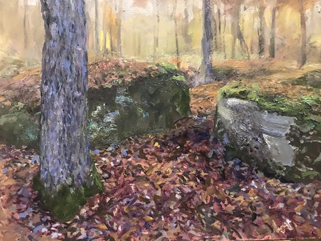 Rocks in Bedding by SANDRA FINKENBERG