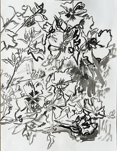 Rose of Sharon I, Roxbury by GAIL FREUND