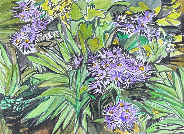 Asters by GAIL FREUND