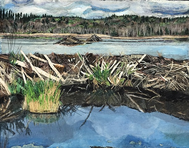 Beaver Pond by AMY SILBERKLEIT