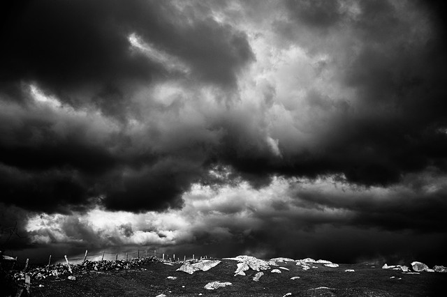 Storm and Stone by HELANE LEVINE-KEATING