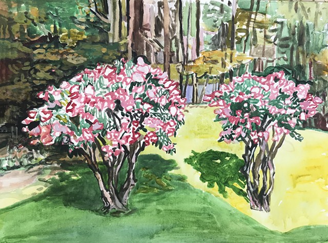 Late Bloomers - Hydrangeas by GAIL FREUND