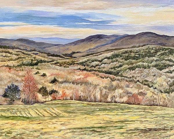 Barkaboom Mountain View in Andes by Deborah Ruggerio