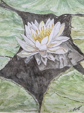 White Lily by Deborah Ruggerio