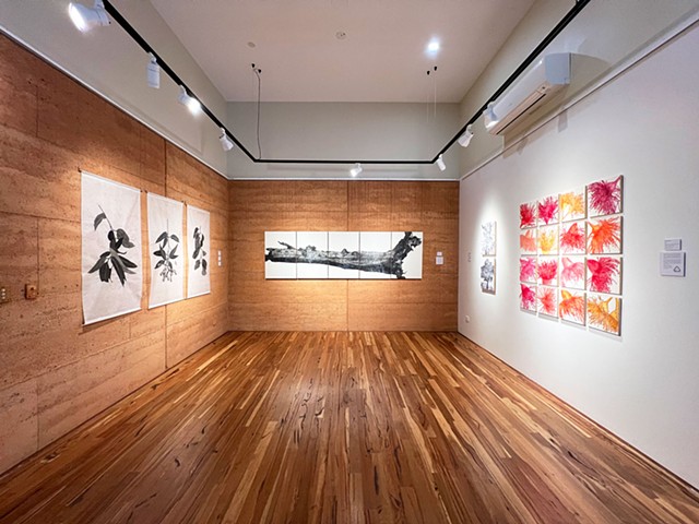TOTT - Painted Tree Gallery