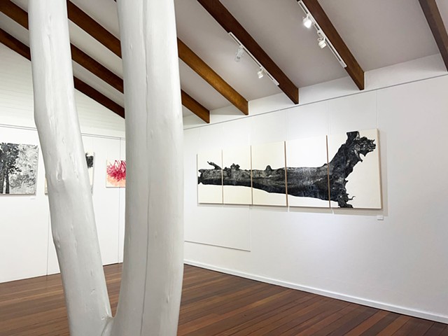 TOTT - Petrichor Gallery 2023