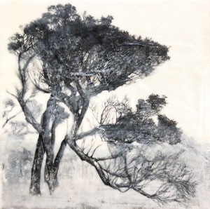charcoal, paper, trees, drawing, landscape, australia, encaustic, wax, ink