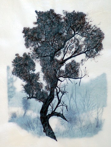ink, trees, landscape drawing, western australia, walpole, australian artist