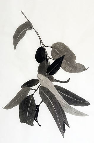 Canopy Drop - detail