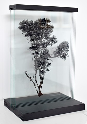 3D art, glass, trees, black and white, banksia, western australia