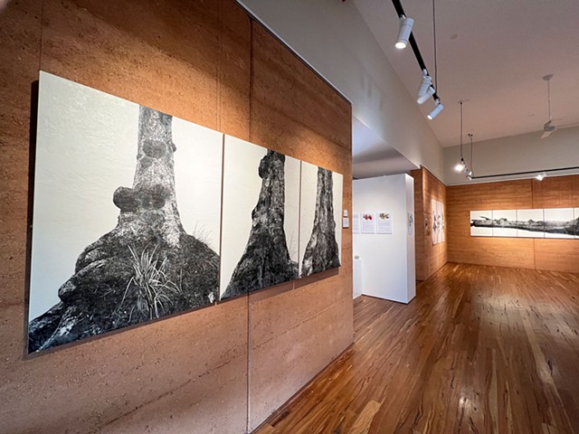 TOTT - Painted Tree Gallery