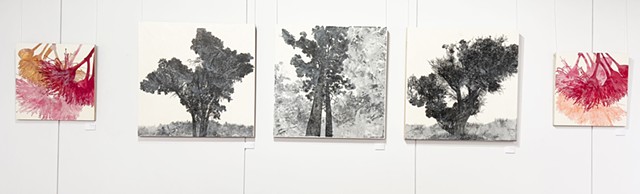 2023 - Petrichor Gallery WA