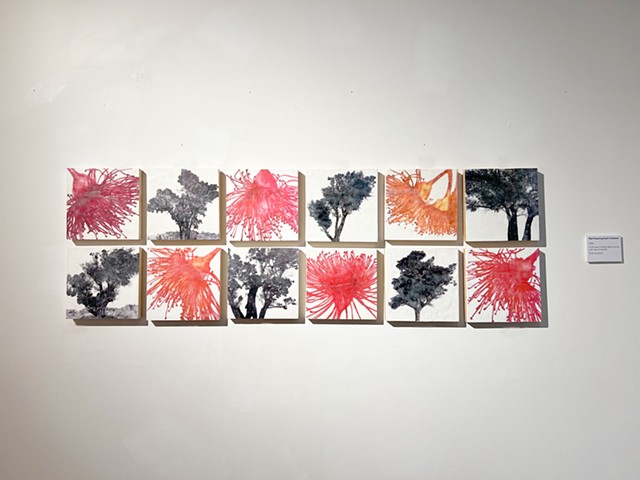TOTT - Painted Tree Gallery