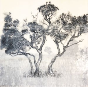charcoal, paper, trees, drawing, landscape, australia, encaustic, wax, ink