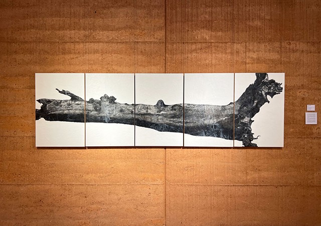TOTT - Painted Tree Gallery