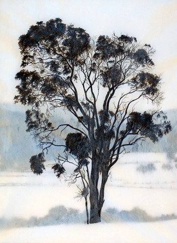 Elizabeth Edmonds Australian Landscape Painter Ink Trees Landscape Drawing Western Australia Walpole Australian Artist