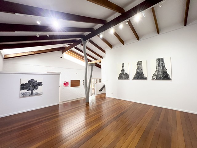 TOTT - Petrichor Gallery 2023