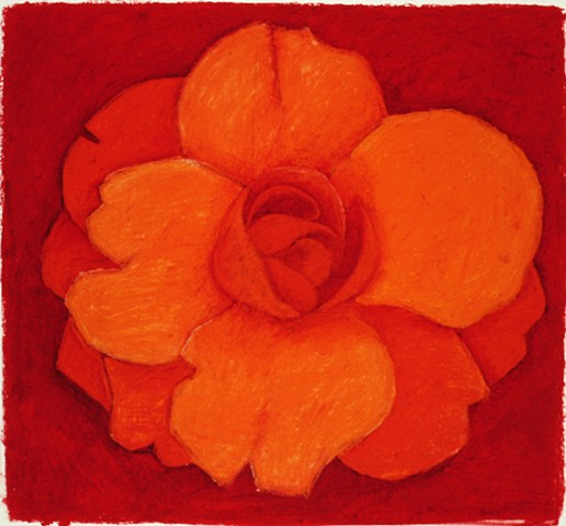 Orange Rose on Red