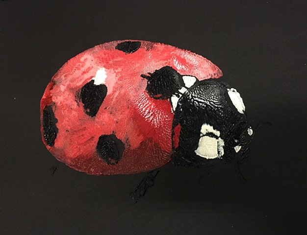Ladybug on black