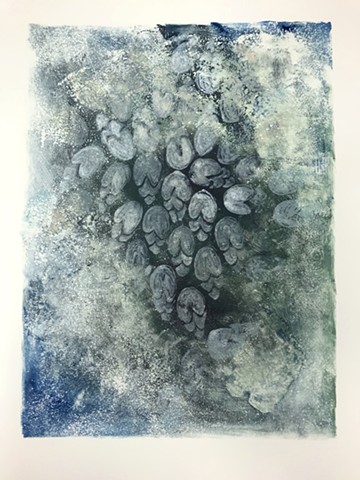 untitled (gooseneck barnacles)