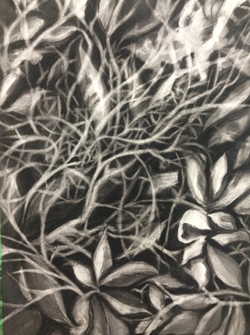 Charcoal drawing on paper