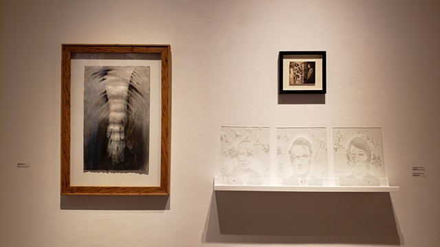 "Echo" in "Roots" Exhibit at Manifest!
