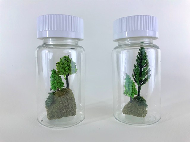 Forest Bottles