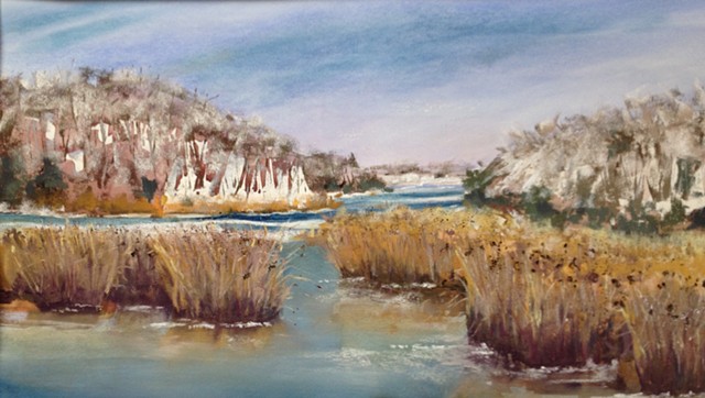 Winter Wetlands of Conscience Bay