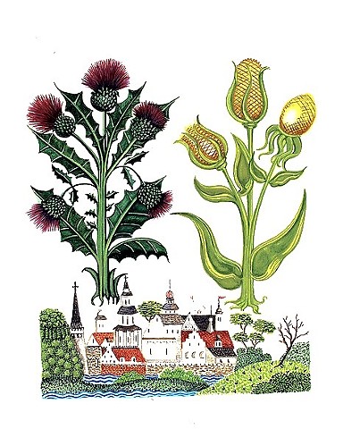 Adaptation of Helmingham's Herbal Bestiary c.1500